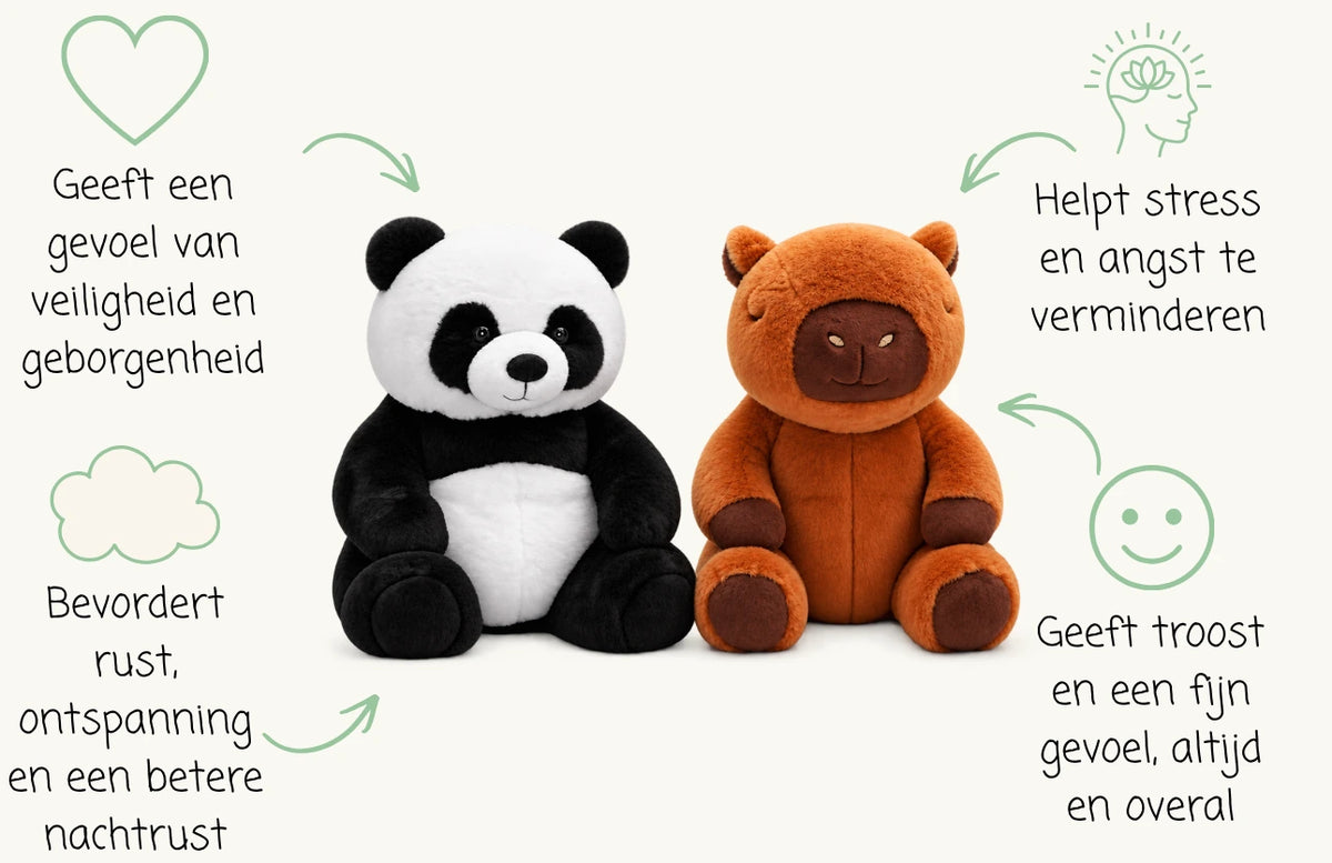 Banner panda en capybara met voordelen